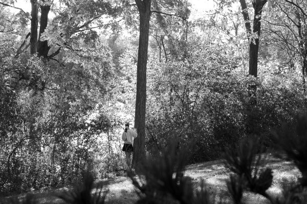 2026 Regional Scholastic Art Awards